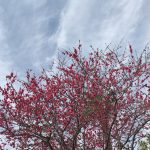 勉強。それは、知りたいことを突き詰めていく面白さだ　４