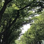 時々日記更新！　コロナ禍の4ヶ月〜2月から6月の出来事